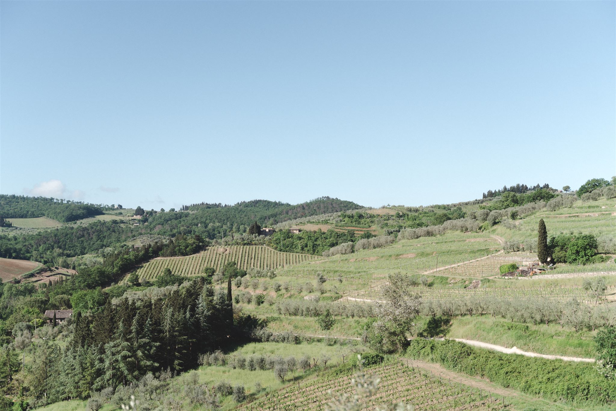 Best wedding venues in Chianti Tuscany with vineyard and countryside view